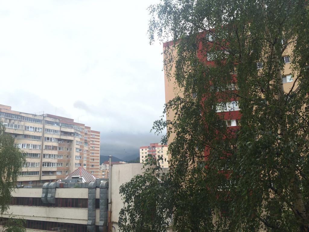 Apartment Krondays Brašov Exteriér fotografie